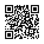 T38058-08-0 QRCode