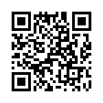 T38058-10-0 QRCode