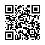 T38060-23-0 QRCode