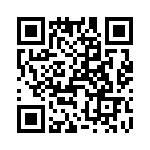 T38065-17-0 QRCode