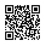 T38065-24-0 QRCode