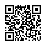 T38068-13-0 QRCode