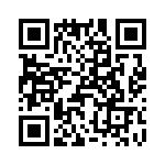 T38068-21-0 QRCode