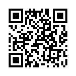 T38070-16-0 QRCode