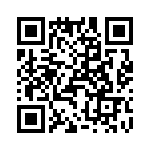 T38072-23-0 QRCode