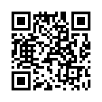 T38073-02-0 QRCode