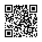 T38078-20-0 QRCode