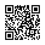 T38078-25-0 QRCode