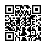 T38100-24-0 QRCode