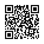 T38101-08-0 QRCode