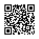 T38107-04-0 QRCode