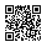 T38111-03-0 QRCode