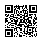 T38112-04-0 QRCode