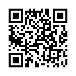 T38112-16-0 QRCode