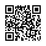 T38112-21-0 QRCode