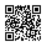 T38117-13-0 QRCode