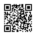 T38117-23-0 QRCode