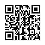 T38121-13-0 QRCode