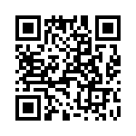 T38122-17-0 QRCode