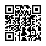 T38130-12-0 QRCode