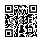 T38132-03-0 QRCode