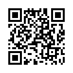 T38132-10-0 QRCode