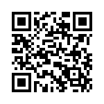 T38132-15-0 QRCode