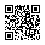 T38132-17-0 QRCode