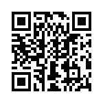 T38132-23-0 QRCode