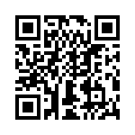 T38133-07-0 QRCode