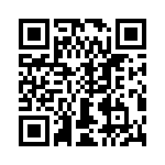 T38135-09-0 QRCode