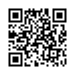 T38137-09-0 QRCode