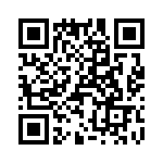 T38137-10-0 QRCode