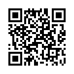 T38140-24-0 QRCode