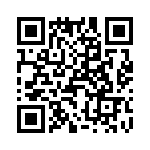 T38142-09-0 QRCode