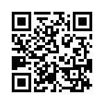 T38162-16-0 QRCode