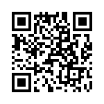 T38167-25-0 QRCode