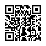 T38173-11-0 QRCode