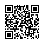 T38173-26-0 QRCode