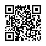 T38178-16-0 QRCode