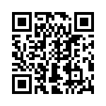 T38212-12-0 QRCode