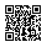 T38213-02-0 QRCode