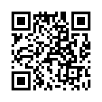 T38213-03-0 QRCode