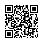 T38215-02-0 QRCode