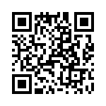 T38222-13-0 QRCode