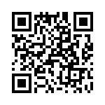 T38261-09-0 QRCode