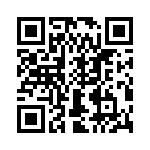 T38310-13-0 QRCode