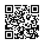 T38312-13-0 QRCode