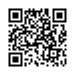 T38313-04-0 QRCode