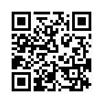 T38313-24-0 QRCode